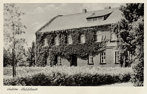 Senftenberg
